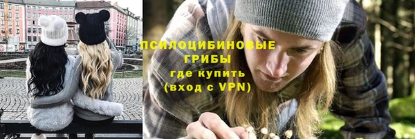 гашик Абаза
