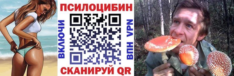 Галлюциногенные грибы Cubensis  дарнет шоп  Ангарск 