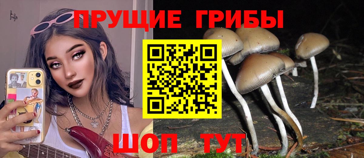 Галлюциногенные грибы GOLDEN TEACHER  Вход с VPN  Ангарск 